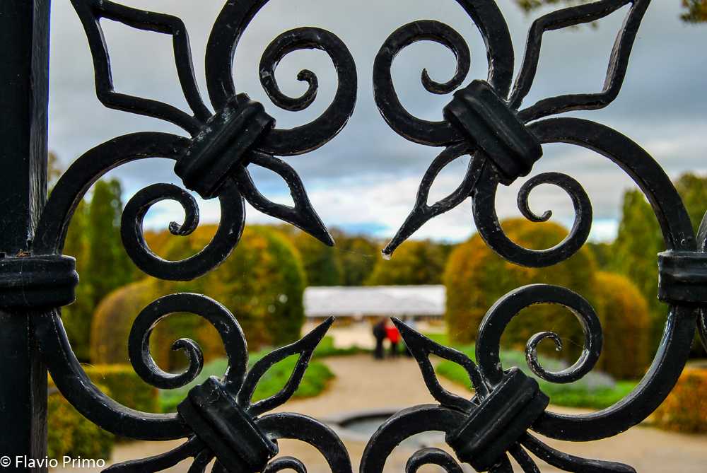 photo in the gallery