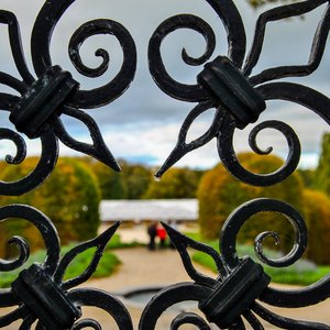 big size photo in the gallery