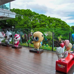 big size photo in the gallery