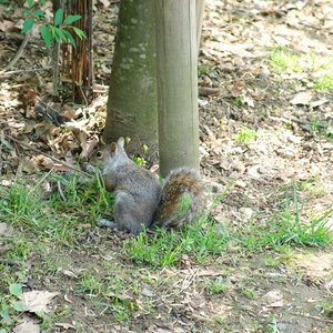 big size photo in the gallery