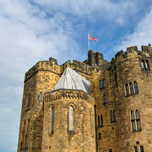 big size photo in the gallery