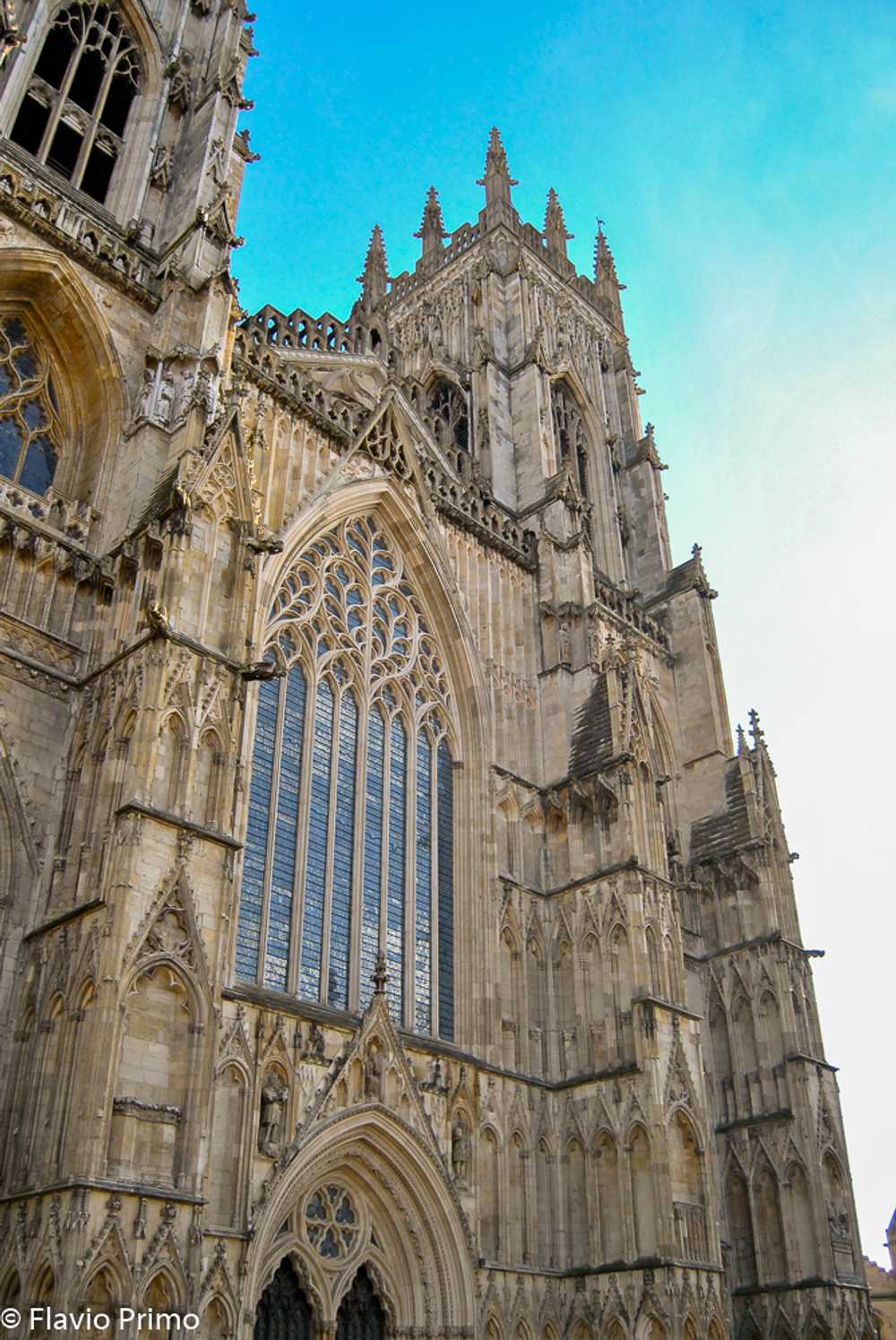 photo in the gallery