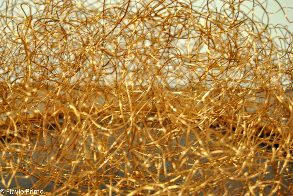 photo in the gallery