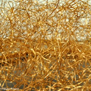 big size photo in the gallery