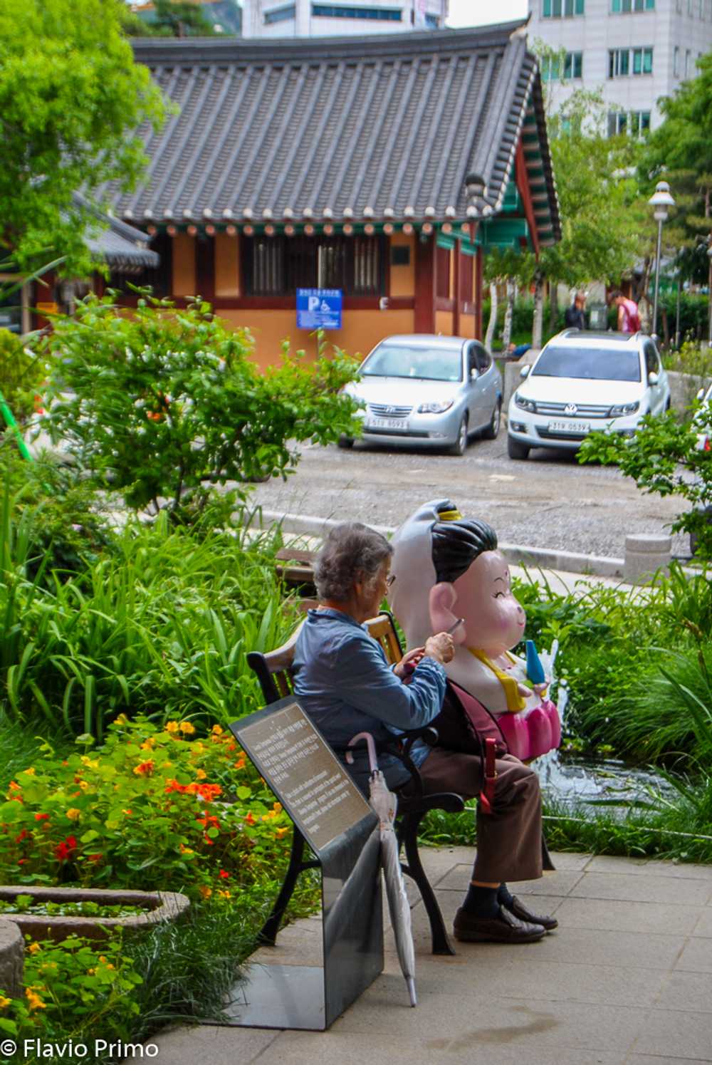 photo in the gallery