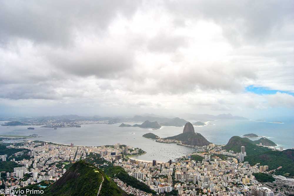 photo in the gallery