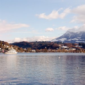 big size photo in the gallery