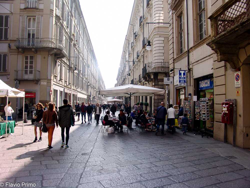 photo in the gallery