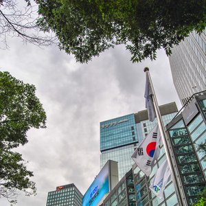 big size photo in the gallery