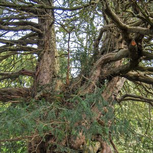 big size photo in the gallery