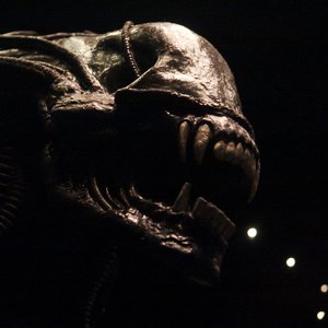 big size photo in the gallery