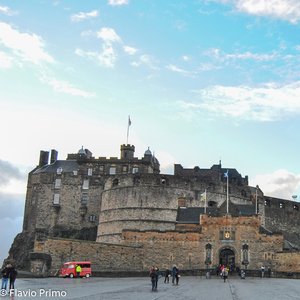 big size photo in the gallery