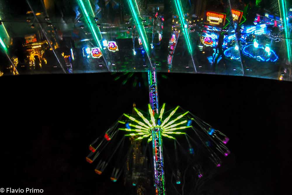 photo in the gallery