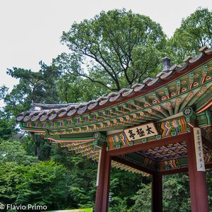 big size photo in the gallery