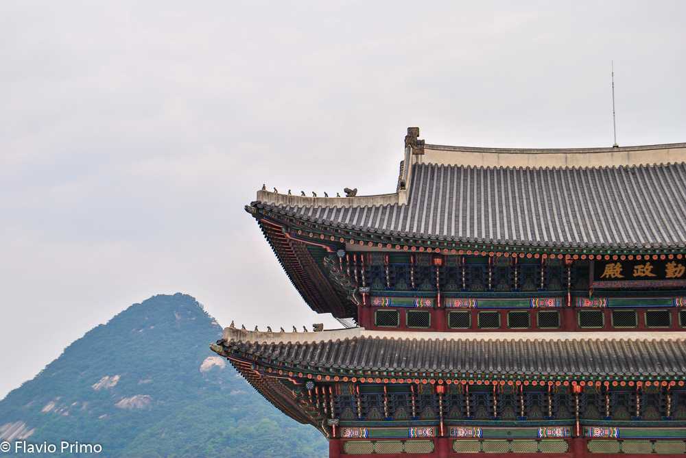 photo in the gallery