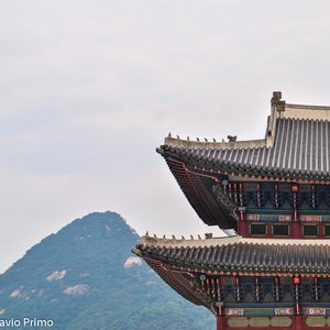 big size photo in the gallery