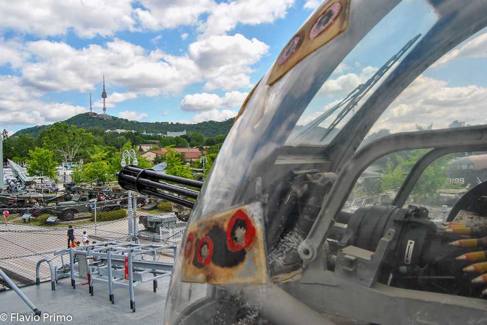 photo in the gallery