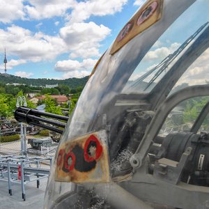 big size photo in the gallery