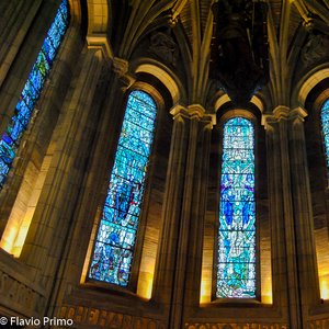 big size photo in the gallery