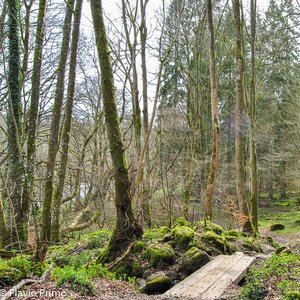 big size photo in the gallery