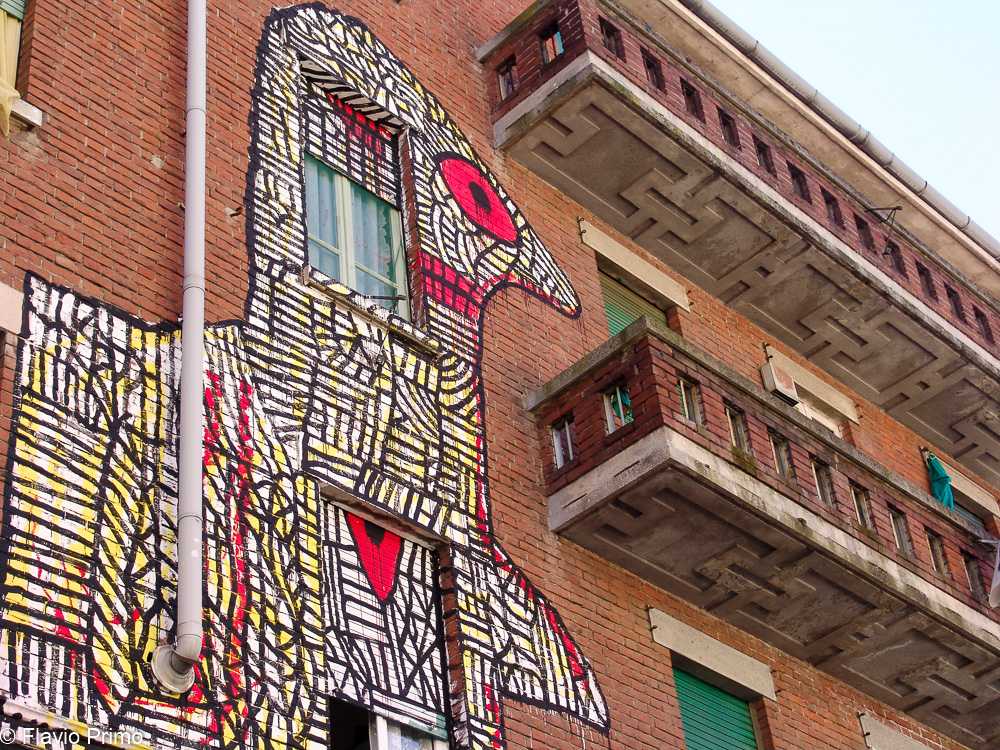 photo in the gallery