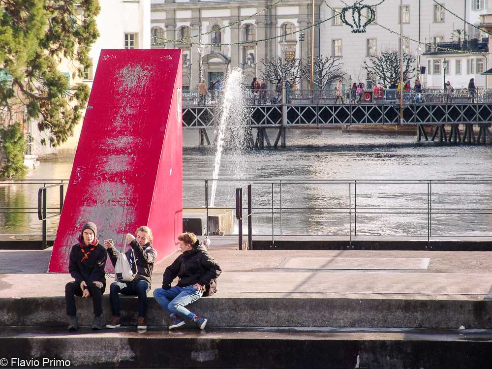 photo in the gallery