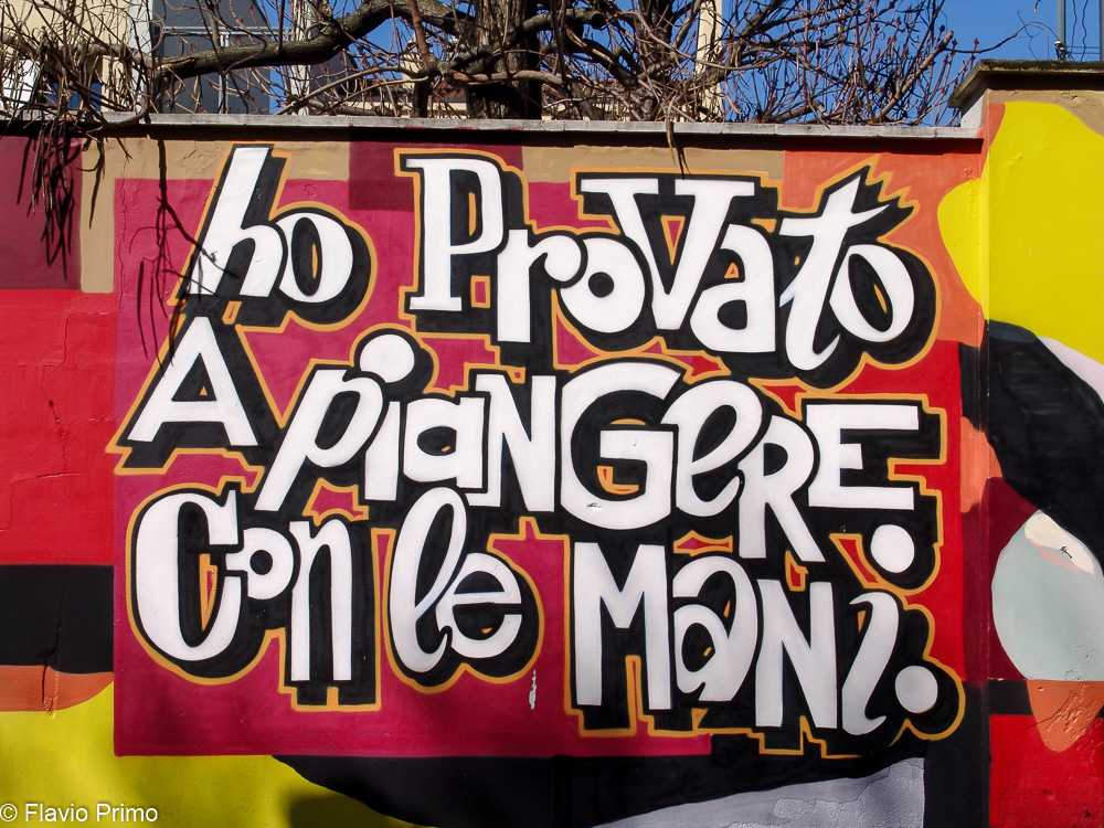 photo in the gallery