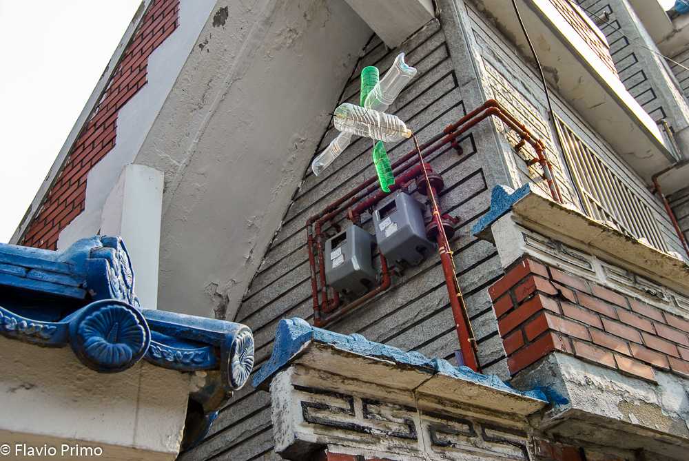 photo in the gallery