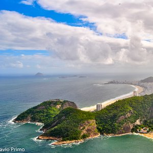 big size photo in the gallery