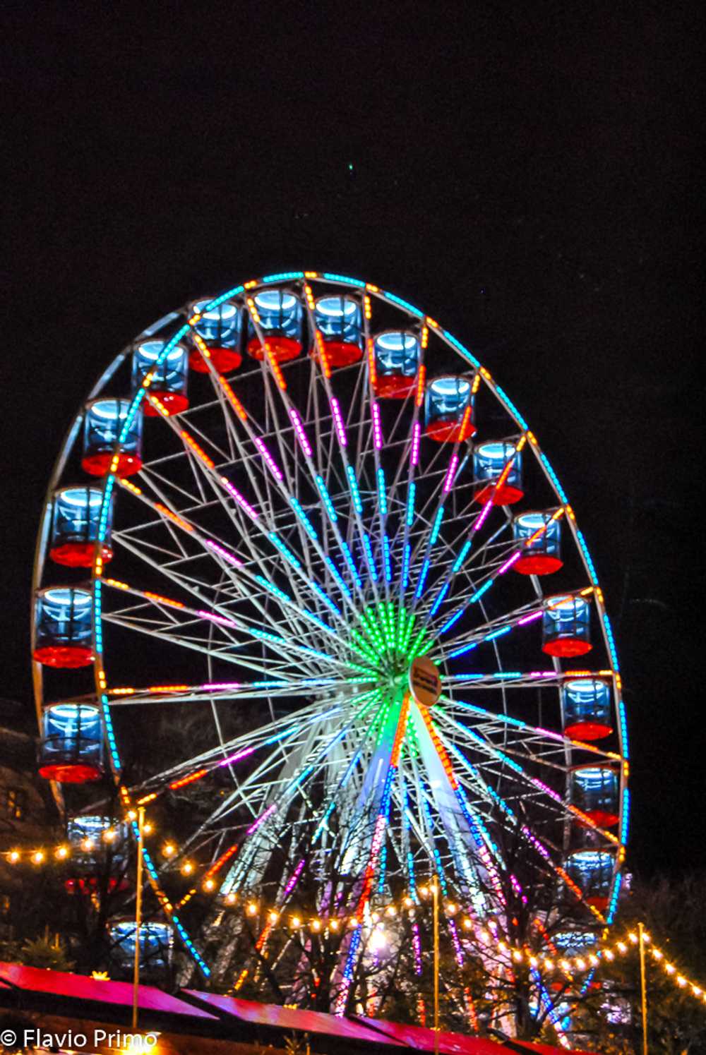 photo in the gallery