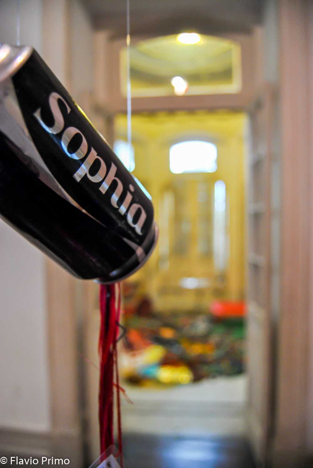 photo in the gallery