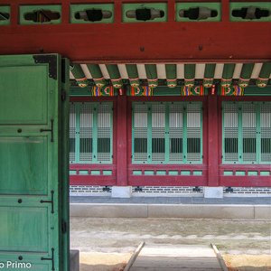 big size photo in the gallery