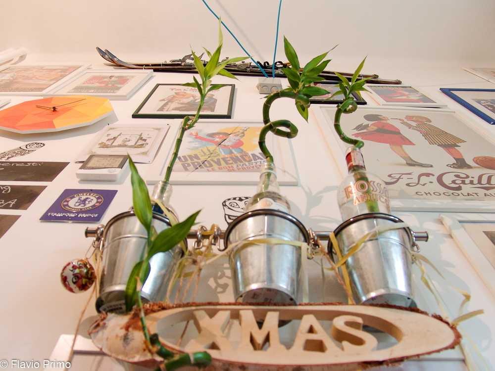 photo in the gallery