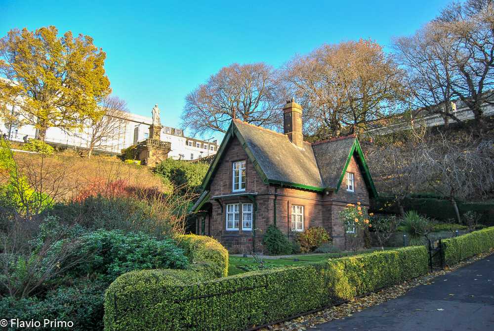 photo in the gallery