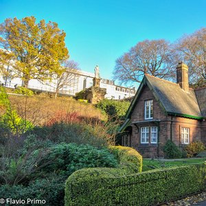 big size photo in the gallery