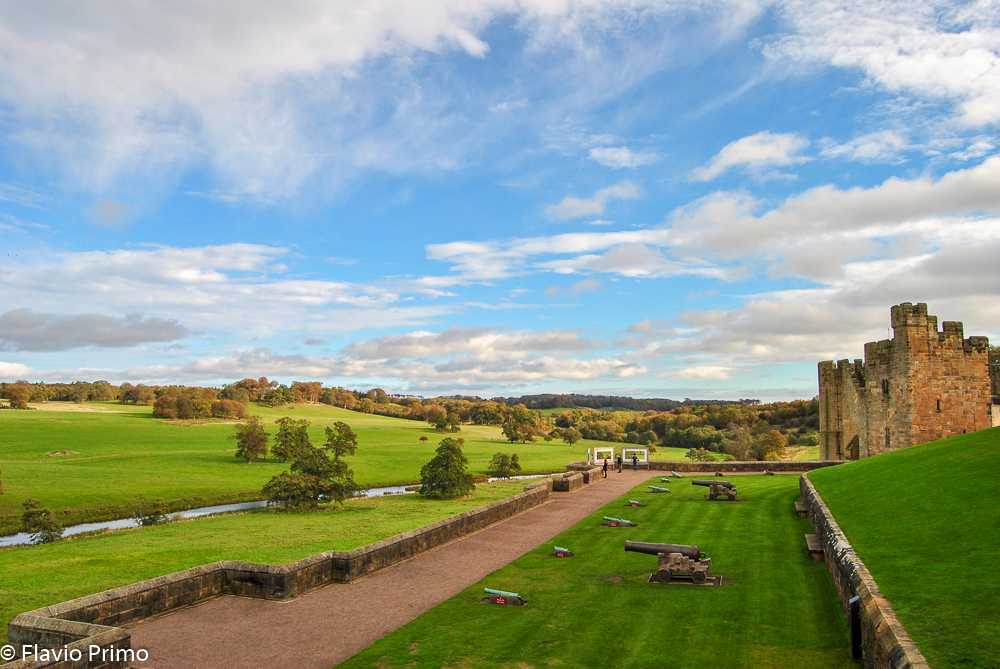 photo in the gallery