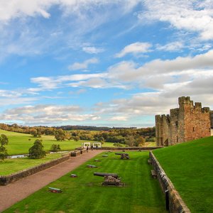 big size photo in the gallery