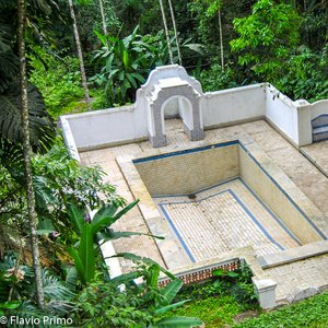 big size photo in the gallery