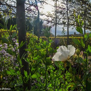 big size photo in the gallery