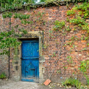 big size photo in the gallery