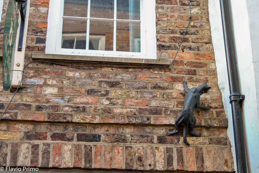 photo in the gallery