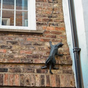 big size photo in the gallery