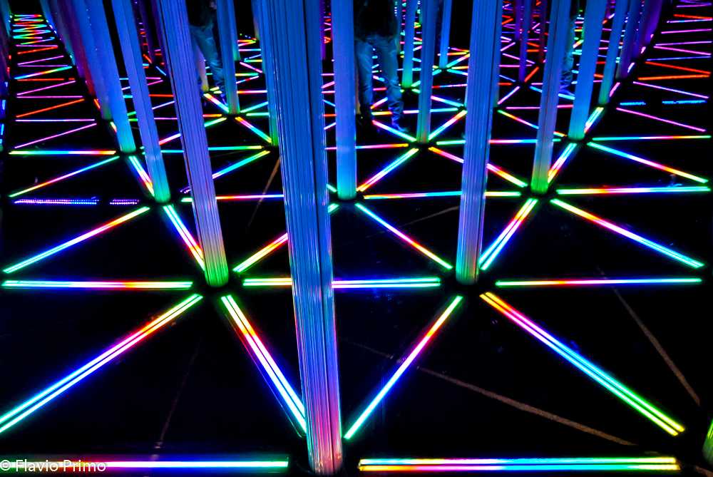 photo in the gallery