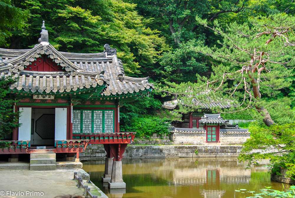 photo in the gallery