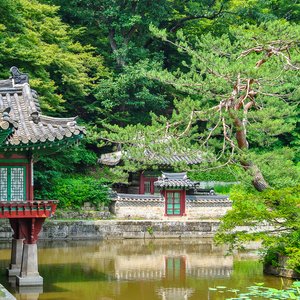 big size photo in the gallery