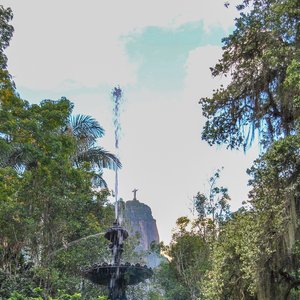 big size photo in the gallery