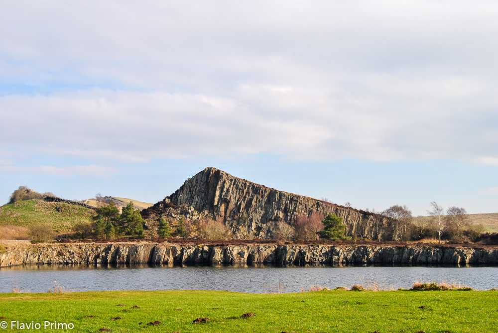 photo in the gallery