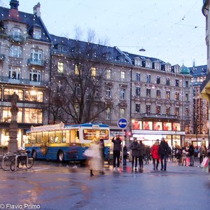 big size photo in the gallery