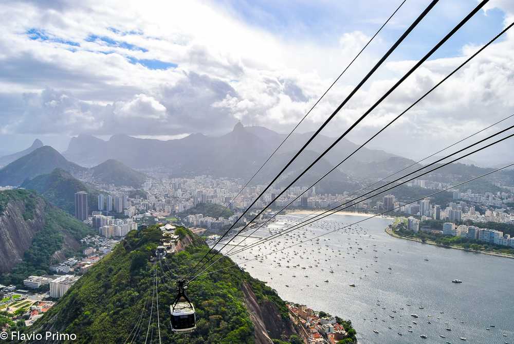 photo in the gallery