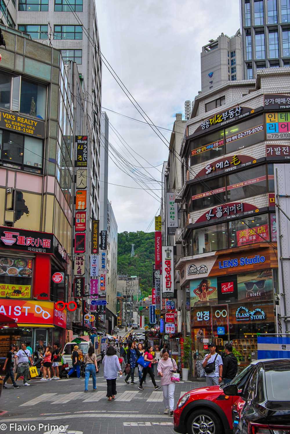 photo in the gallery